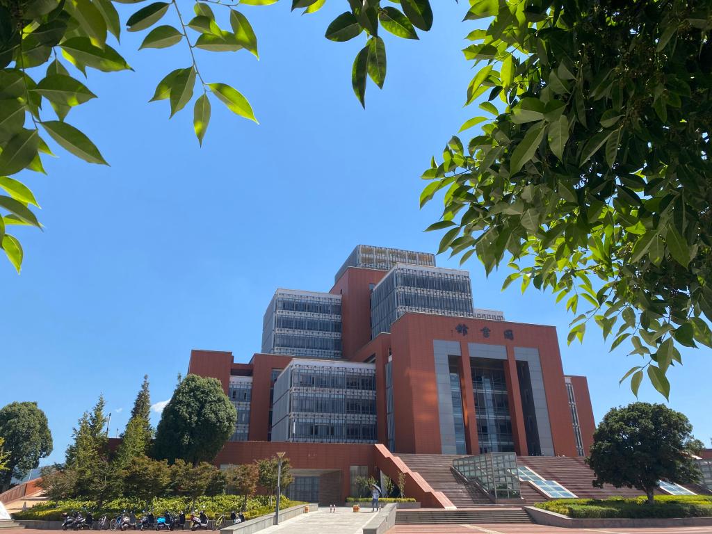 昆明理工大学2021年国家自然科学基金获资助143项