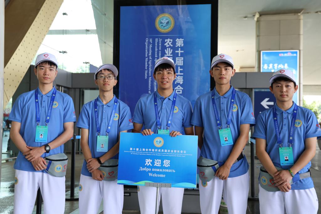 图12.jpg