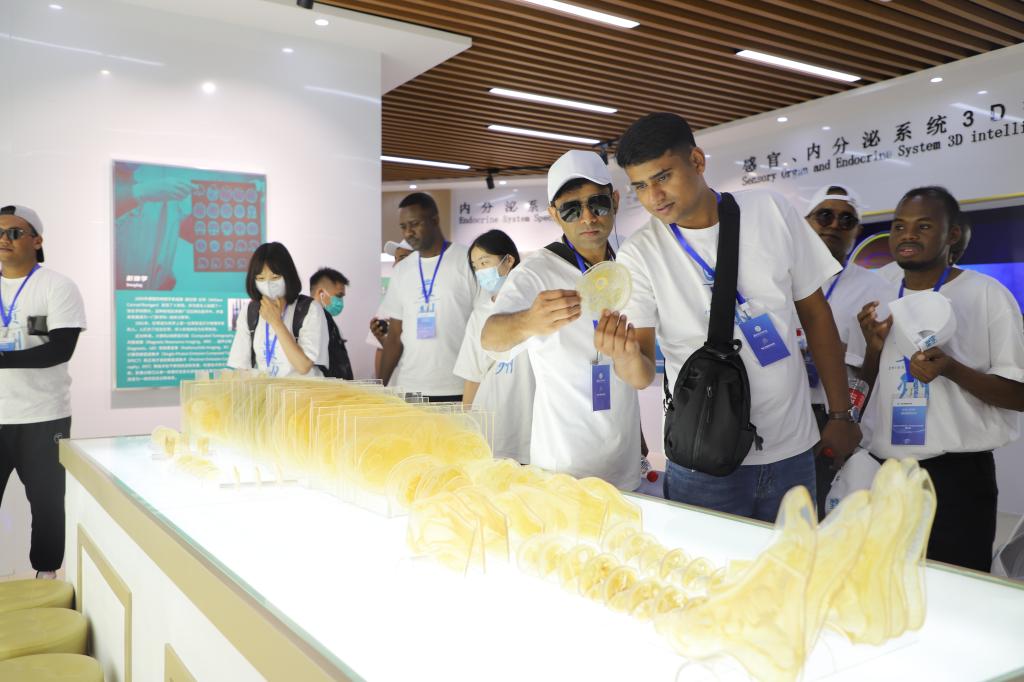 昆明理工大学留学生参加2022年“知行贵州”丝绸之路青年交流计划——中医药+城市文化体验夏季研学