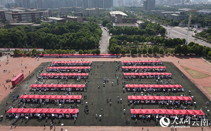 云南省2023届理工类高校毕业生专场招聘会在昆明理工大学举行。李瑞城摄