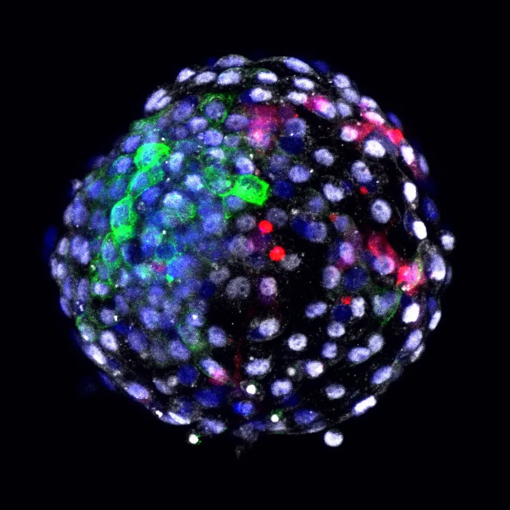 642b4f26-1196-41ca-96b1-3c6f180f05f6.jpg