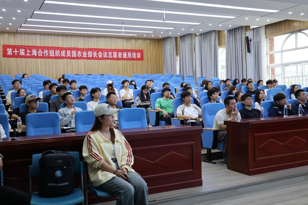 图3.JPG